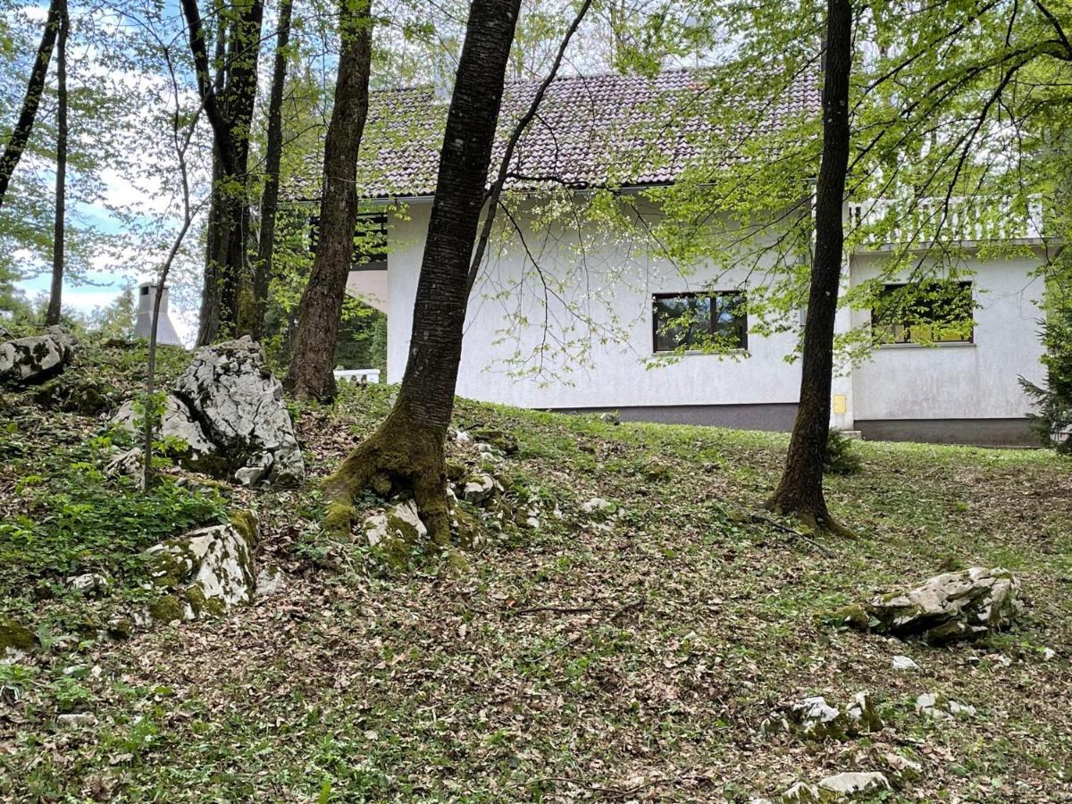 Holiday Home Ivka Огулин Экстерьер фото